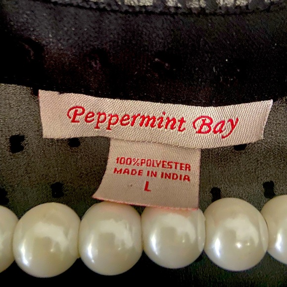 Sheer Bathing Suit Cover - Picture 7 of 8